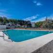 Pool & views