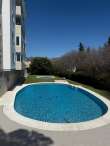 Pool & views