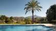Pool & views