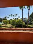 Pool & views