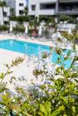 Pool & views
