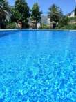 Pool & views