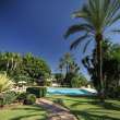 Pool & views