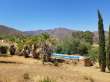 Pool & views
