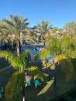 Pool & views