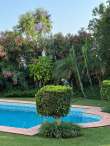 Pool & views