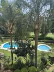 Pool & views