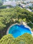 Pool & views