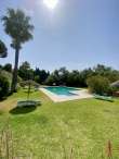 Pool & views