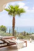 Pool & views
