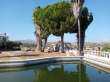 Pool & views
