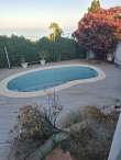 Pool & views