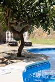 Pool & views