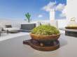 Pool & views
