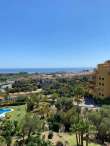 Pool & views