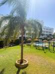 Pool & views