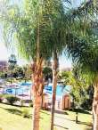Pool & views
