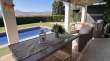 Pool & views