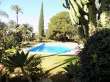 Pool & views