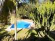 Pool & views