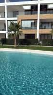 Pool & views