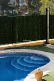 Pool & views