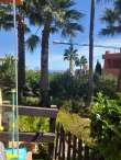 Pool & views