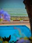 Pool & views