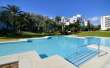 Pool & views
